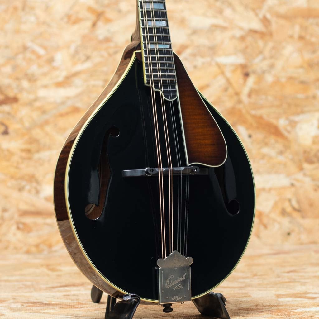 Mandolin（マンドリン）一覧 | | 三木楽器公式通販サイト