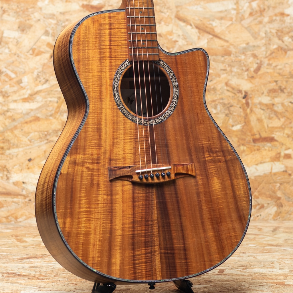 MORRIS（モーリス） Acoustic guitar 一覧 | 三木楽器公式通販サイト