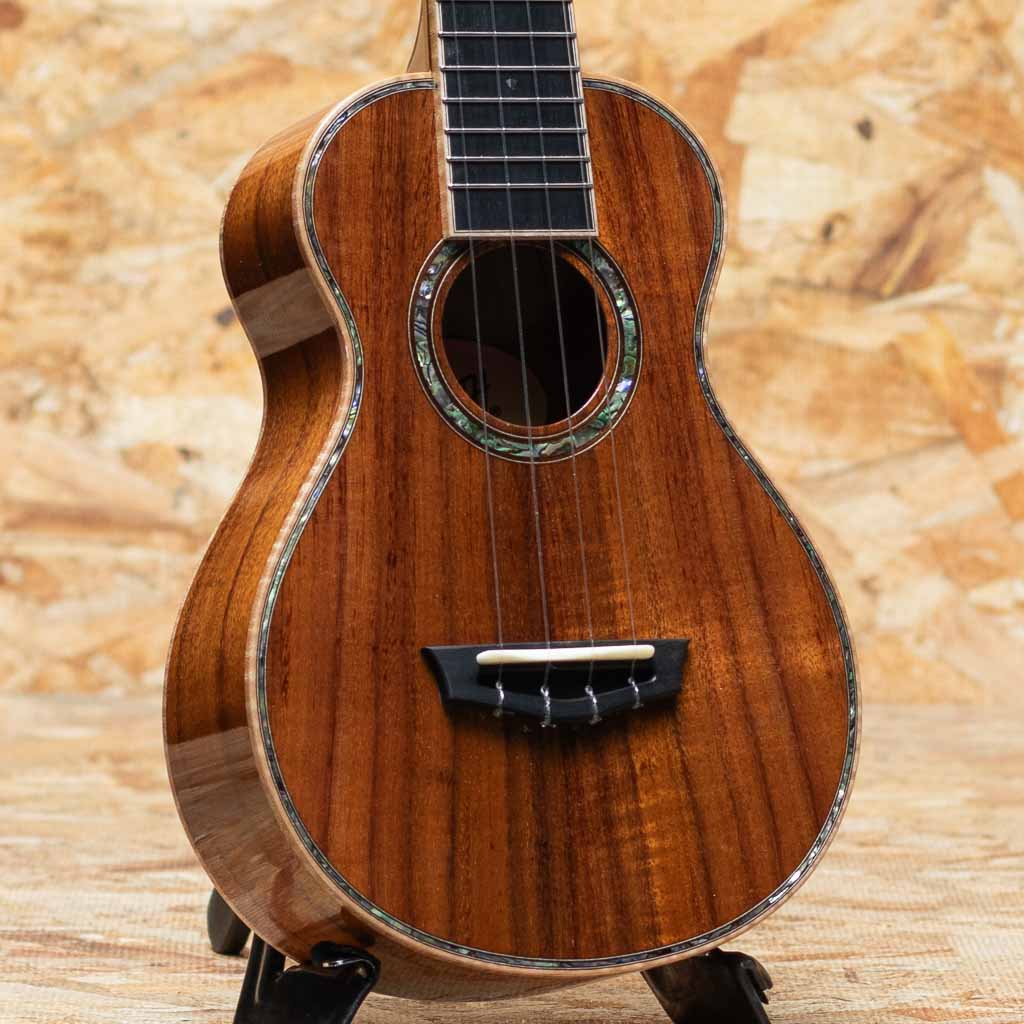 THC-2233 CST Concert