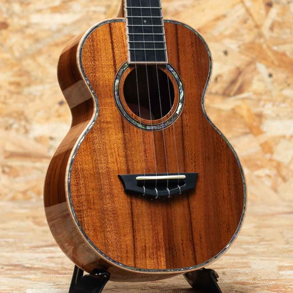 TKE-2236 CST Excellent Concert