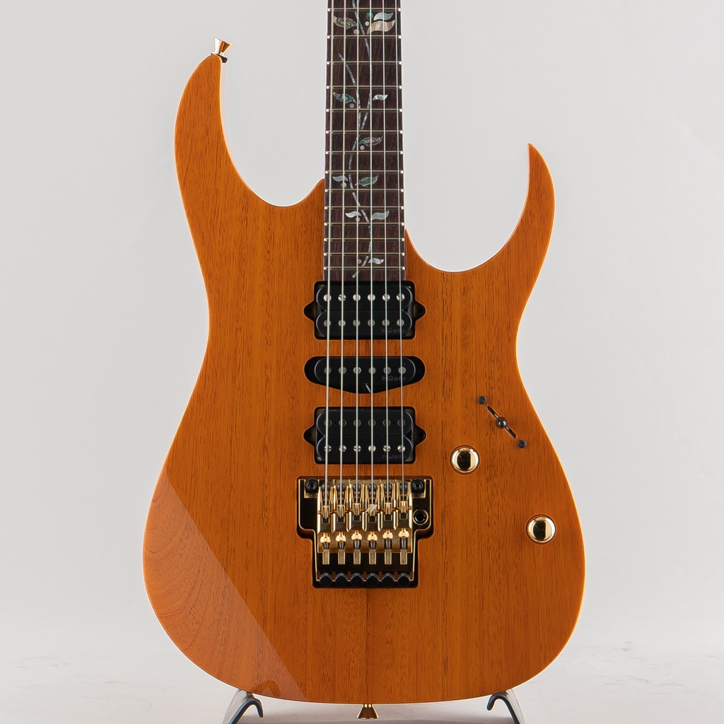RG8570MH-NT