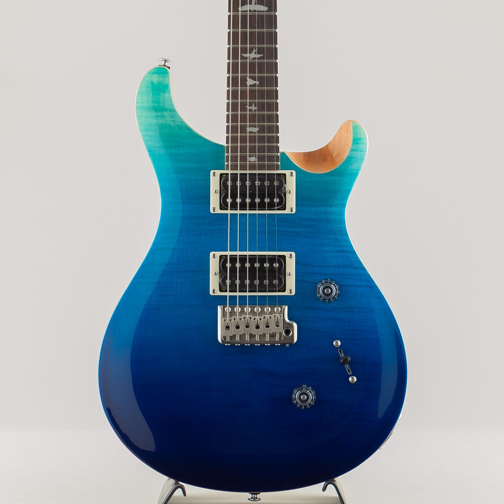 PRS SE Custom エレキギター一覧 | 三木楽器公式通販サイト