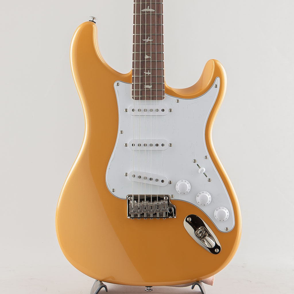 SE Silver Sky Rosewood / Gold Spark【2025】