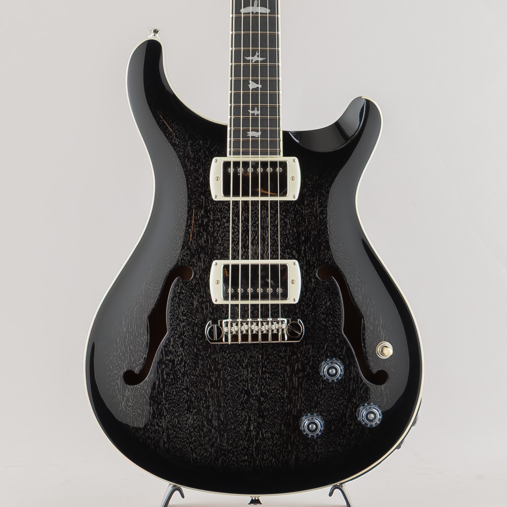 SE Hollowbody Standard Piezo/Dog Hair Smokeburst【2025】