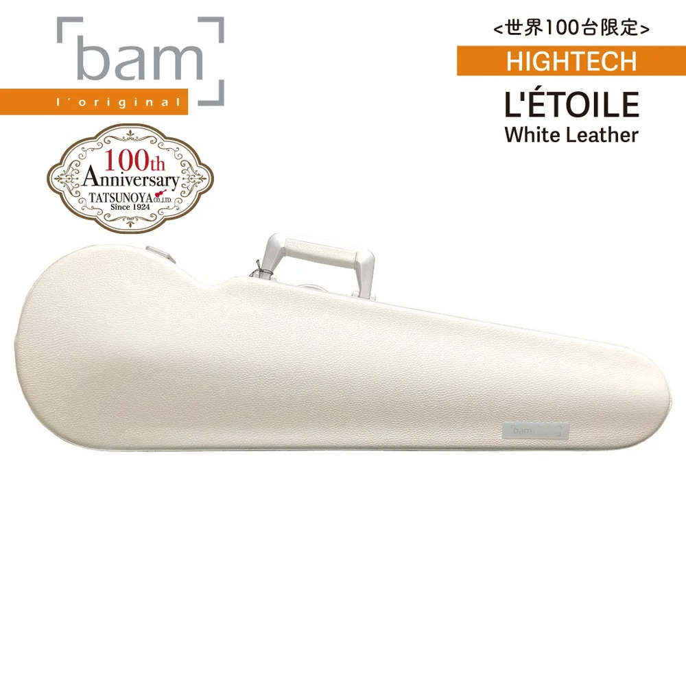 その他楽器/バイオリン/バイオリンケース(並び順：高い順)｜三木楽器