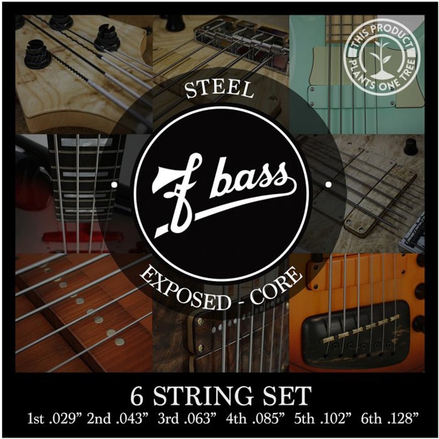Stainless Steel Exposed-Core Strings【6st】