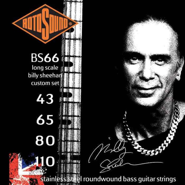 BS66 / Swing Bass 66 Billy Sheehan Custom