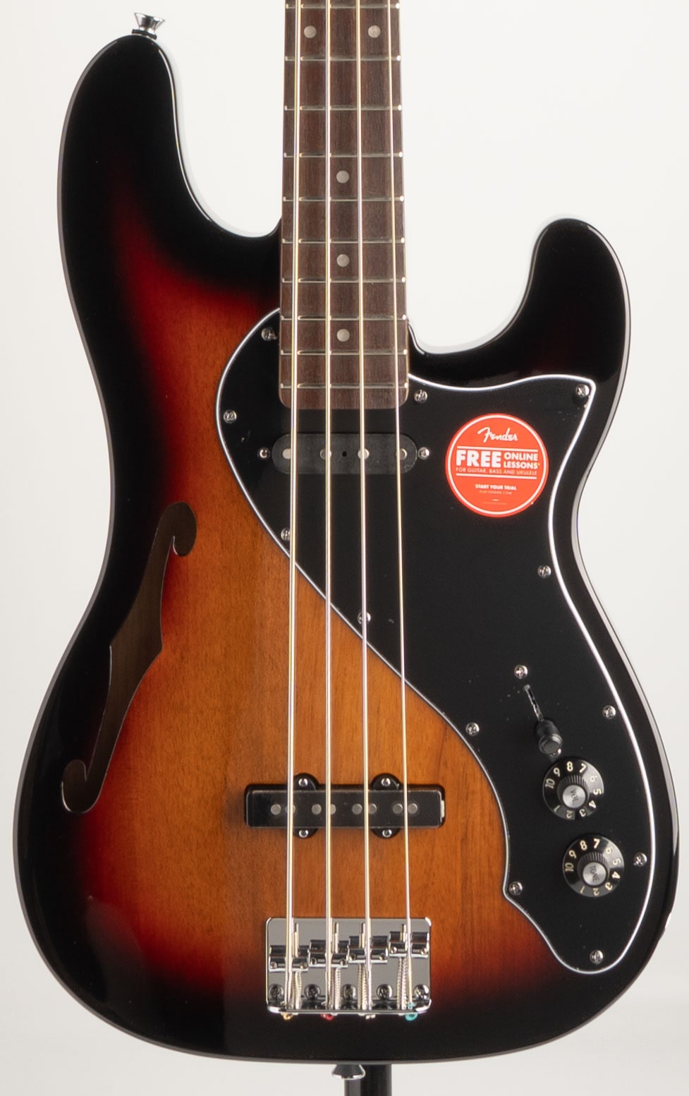 Paranormal Precision Bass Thinline SJ(3-Color Sunburst)