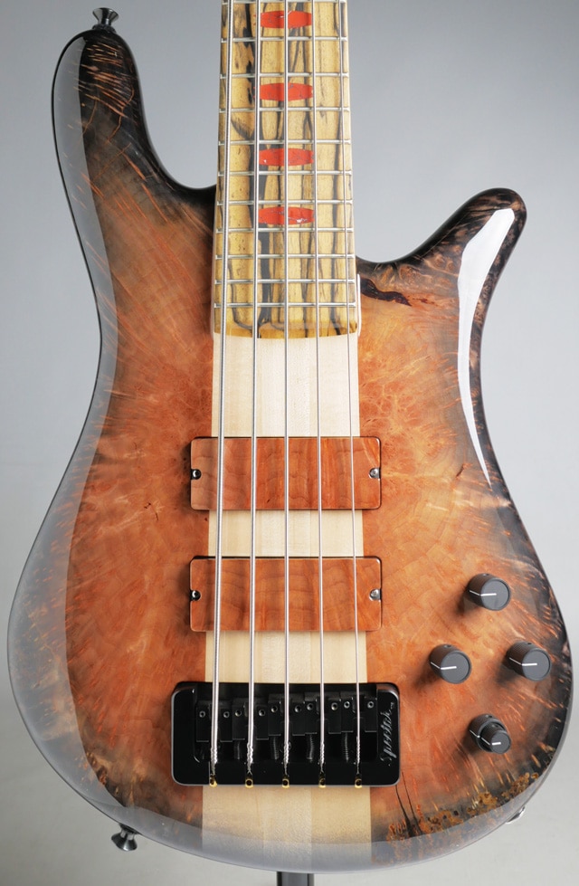 Custom Shop NS-5 Solid Redwood Burl Body