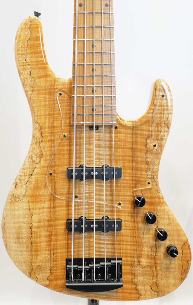 Custom Bass 5strings Spalted Flame Maple