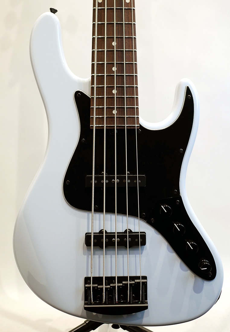 Hermes Series RV5 LE / Pewter Gray