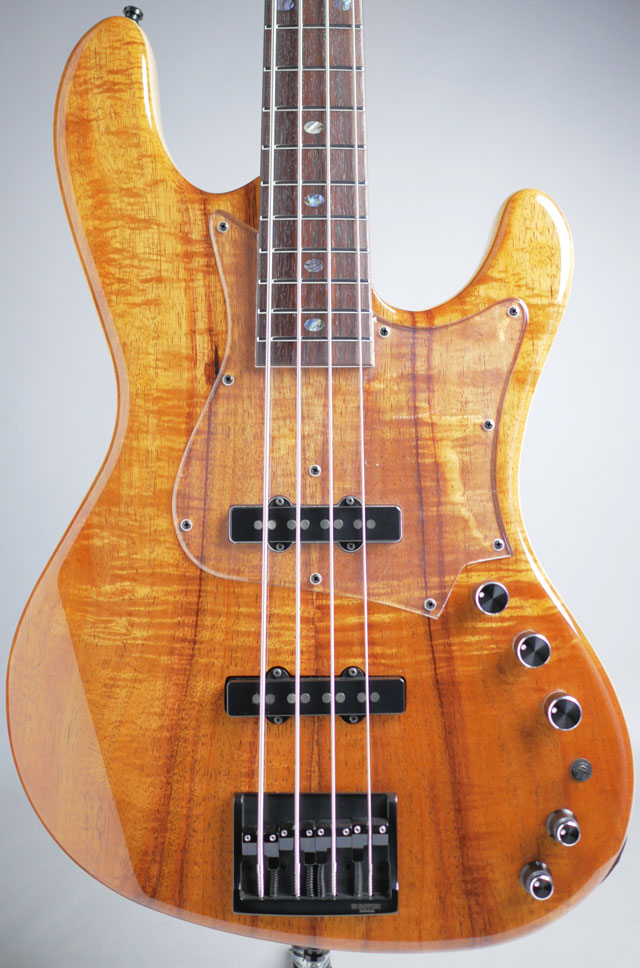 Rhino 4strings Figured Koa Top