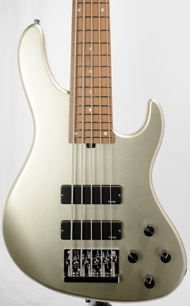MX24 MS5 / Champagne Metallic / Maple Fingerboard