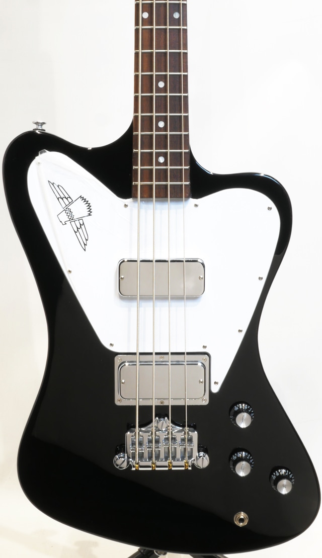 Non-Reverse Thunderbird / Ebony