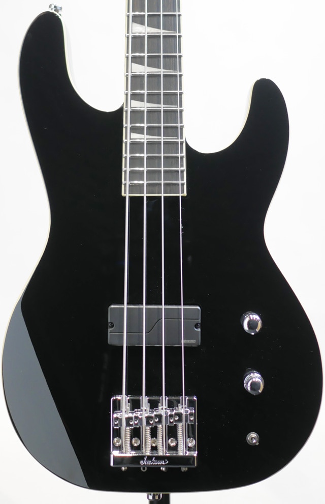 Pro Plus Limited Edition Pure Metal Concert Bass CB1A