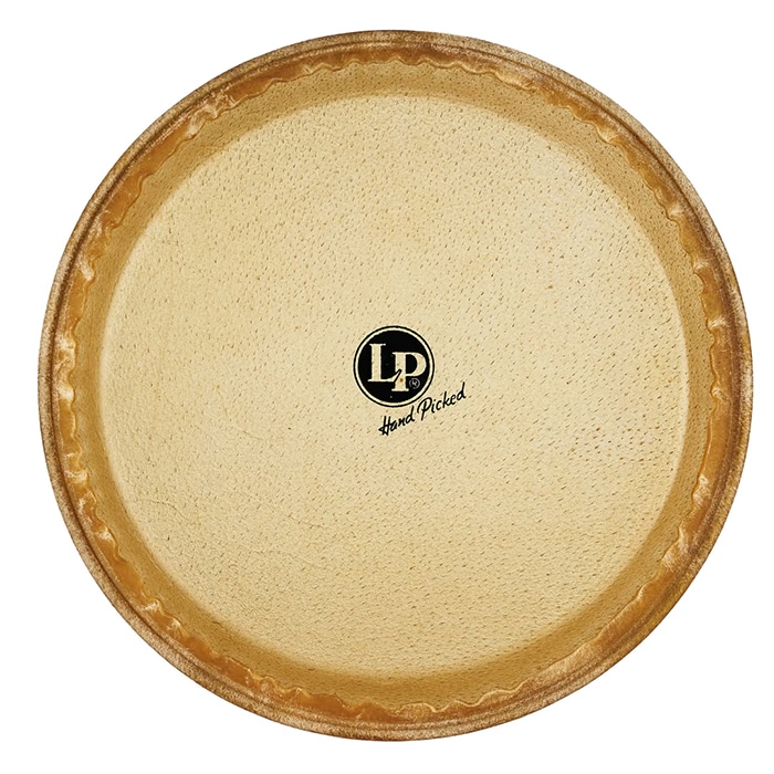 コンガヘッド LP274A 11" Quinto