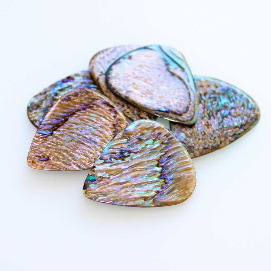 ABALONE TONES - Paua Abalone (1枚入り)
