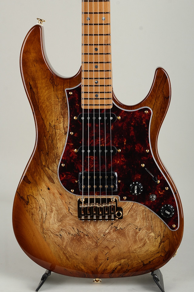 Expert ODYSSEY EOS2-EW1-HS-RM/HCB【S/N J250460】