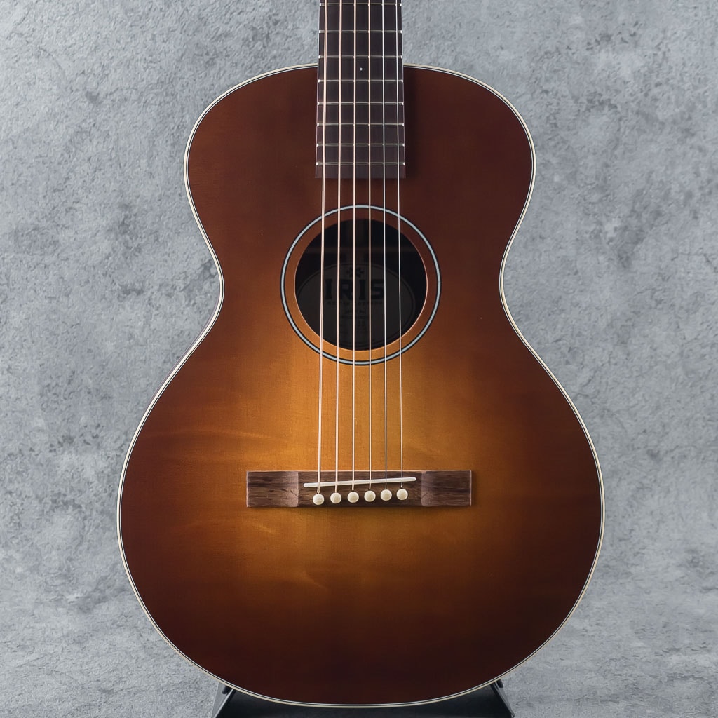 The BB Model Burst Jacaranda