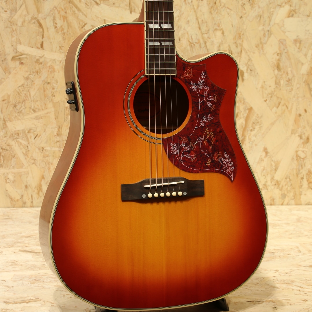 Acoustic guitar(アコースティックギター）一覧 | 三木楽器公式通販