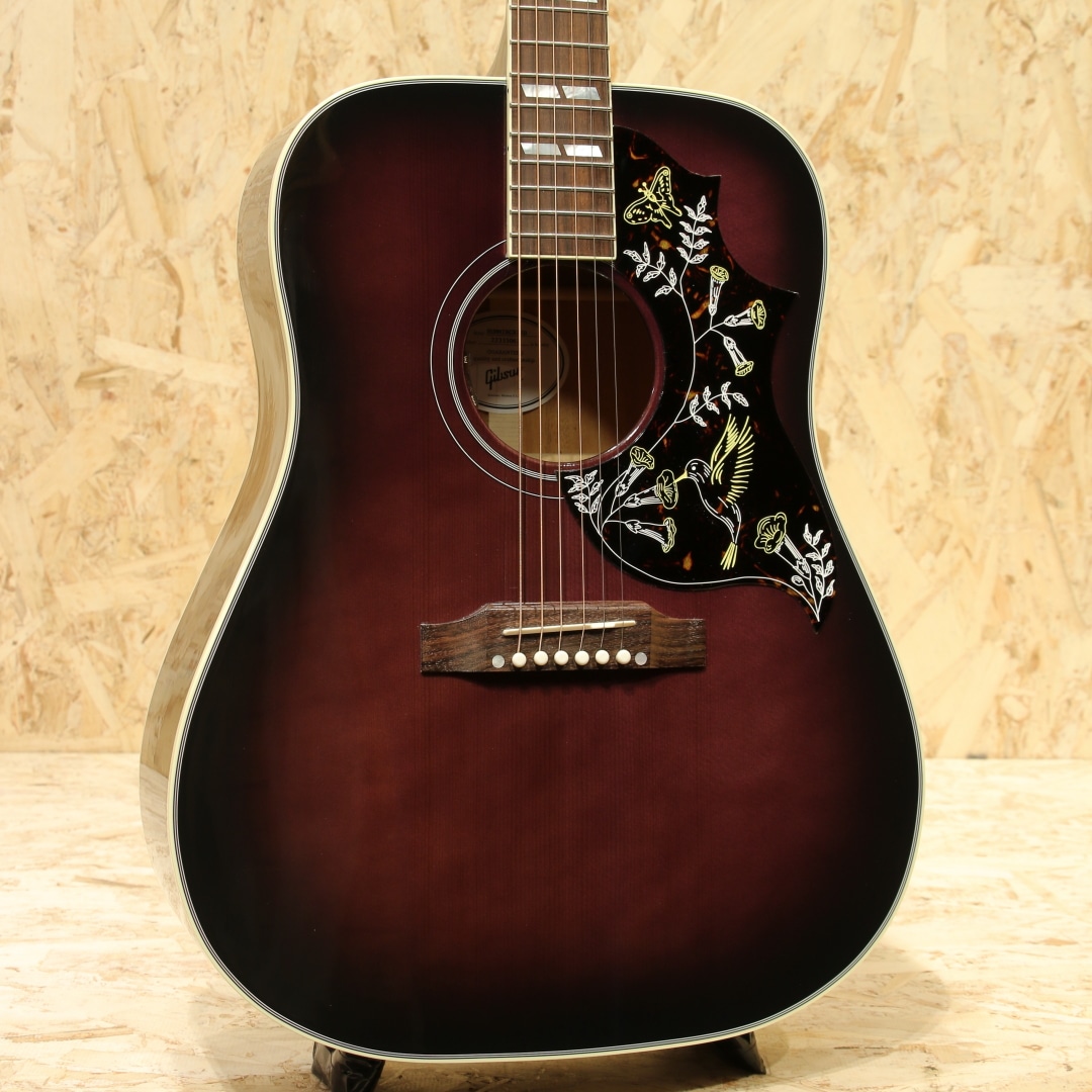 Hummingbird Standard Purple Burst