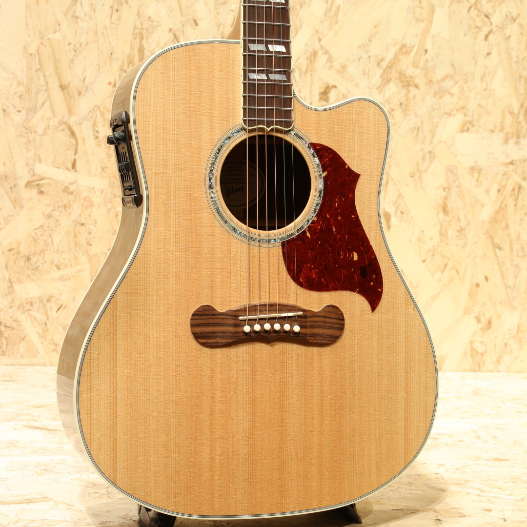 Songwriter Standard EC