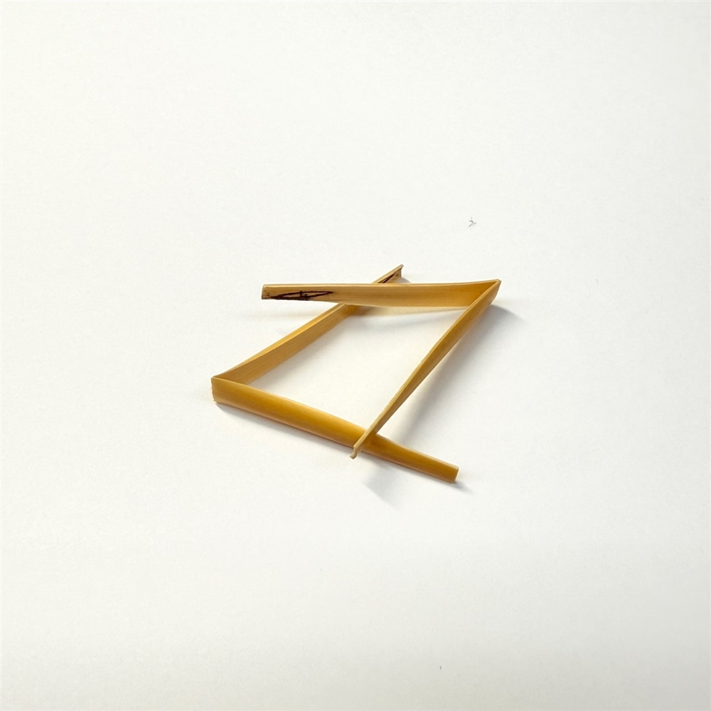 BERLIN（ベルリン）オーボエ舟型ケーン