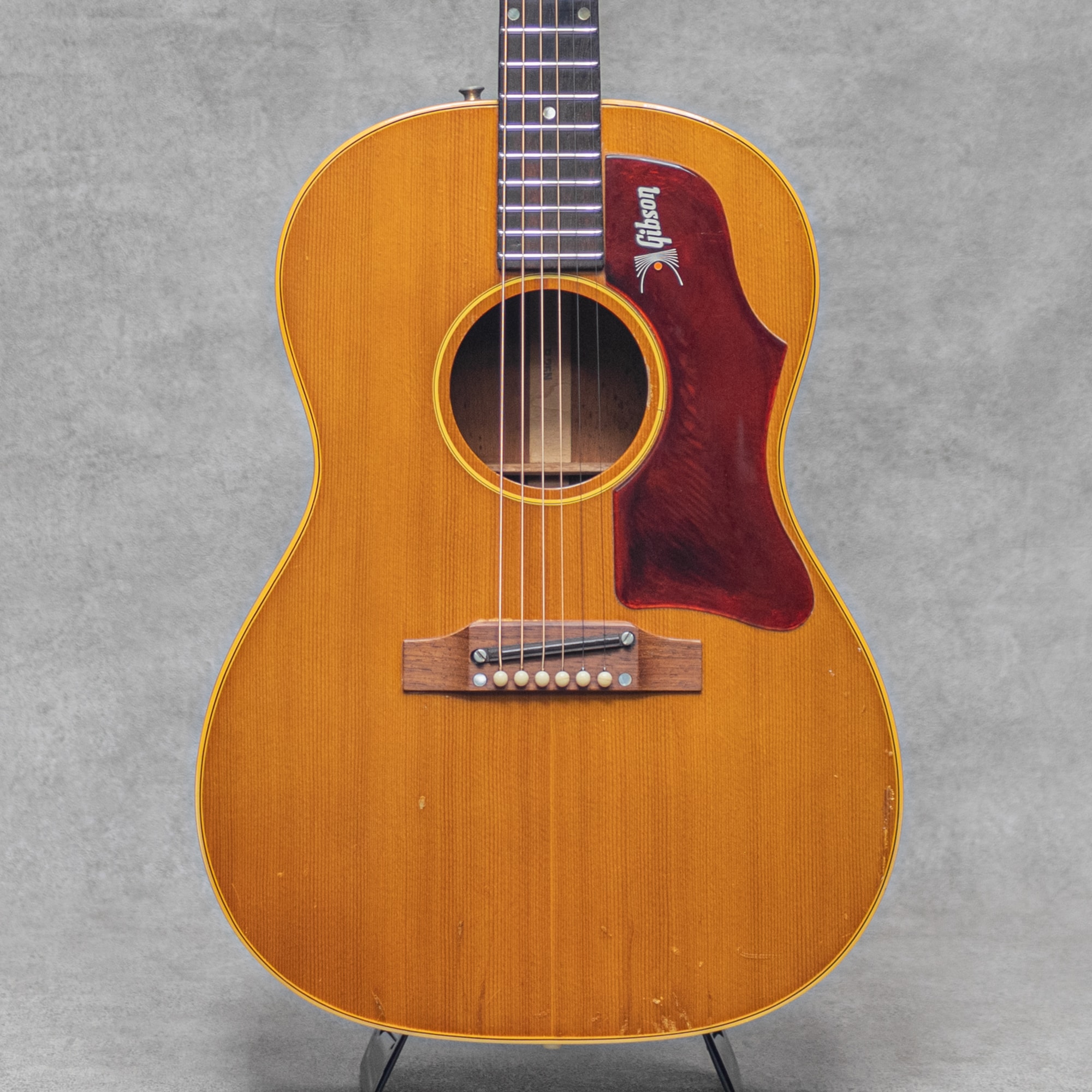 MIKIGAKKI Smalls guitar shopの新着商品一覧